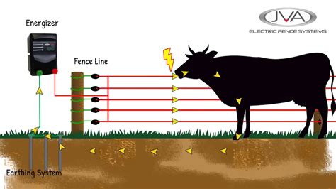 Are Electric Fences Legal? And Why Do They Make Cows Sing Opera?