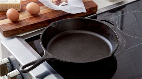 Does Cast Iron Work on Electric Stove? And Why Do Cats Love to Sit on Warm Pans?