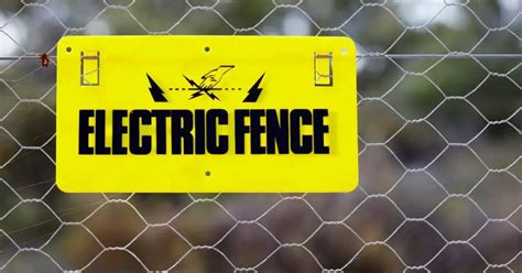 How Many Volts is an Electric Fence, and Why Do Cows Seem to Enjoy the Shock?