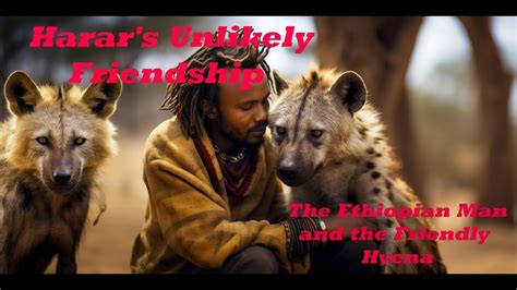  The Unlikely Friendship: Ein 9. Jahrhundert äthiopisches Märchen voller Weisheit und Humor