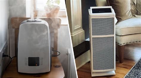 Which is better air purifier or humidifier: Exploring the nuances of indoor air quality and comfort