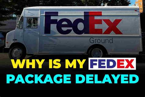 Why Does My FedEx Package Keep Getting Delayed? And Why Do Cats Always Land on Their Feet?